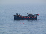 SX14224 Small fishing boat at Stackpole quay.jpg